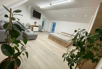 Casă cu 1 camere în Ultracentral - 7