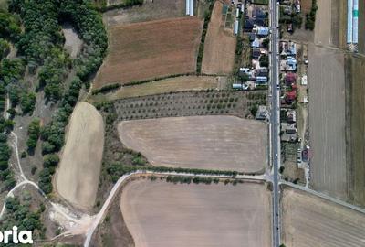 Teren de 9654 mp, în Dobra - 6