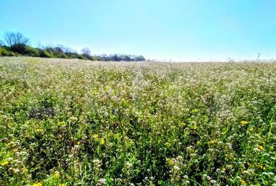 Teren Construcții extravilan de 29600 mp, în Nord-Vest - 7