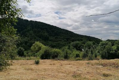 Spațiu comercial, în Central - 1