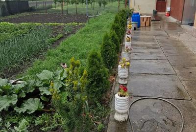 Casă cu 4 camere în Șerbănești - 6