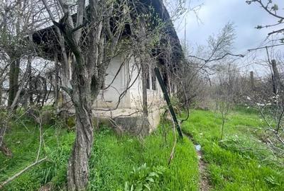 Vânzare teren Bucșani, Obedeni, ideal investitie, 1160 mp, OCAZIE