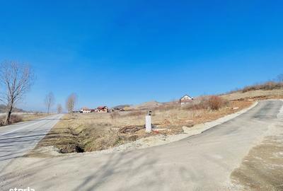 Spațiu comercial, în Teleac - 1