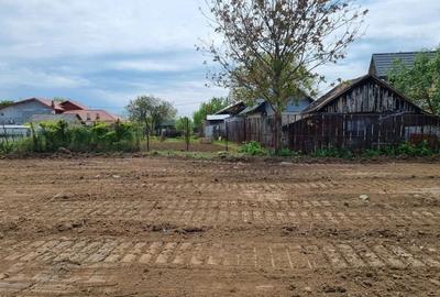 Teren 5.500 mp - Peris, langa padure | Ideal pentru dezvoltare imobiliara | Desc - 4