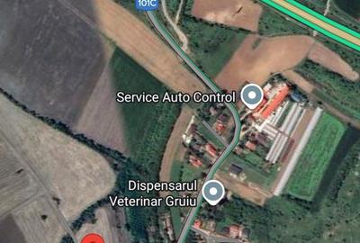 Teren de 4425 mp, în Lipia - 2