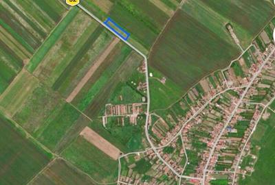 Teren de 4375 mp, în Pișchia - 3