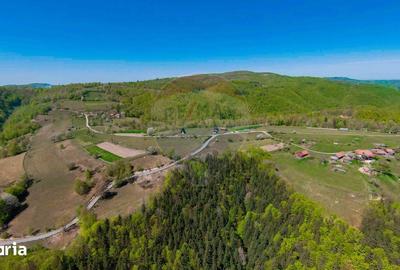 Casă cu 7 camere cu Teren 30200 Mp în Negreni - 20