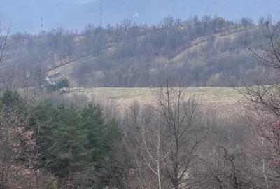 Teren de 6000 mp, în Alexandru cel Bun - 3