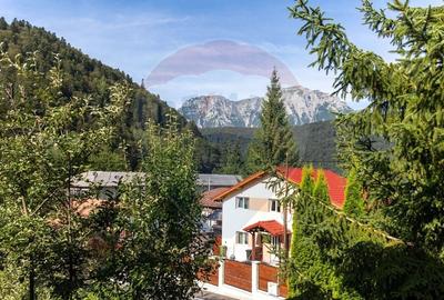 Casa de vacanta in Azuga- la doar 2 km de partia de ski - 6