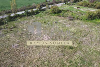 Teren Construcții intravilan de 16142 mp, în Est - 8