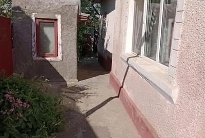 Casă cu 3 camere cu Teren 770 Mp în Central - 4
