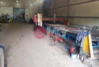 Hala industriala + teren Pausesti Valcea - 7