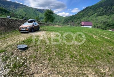 Teren 1059 mp in Raul Sadului- Natura  liniste si investitie - 2