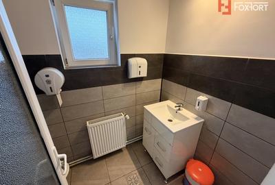 Vila individuala de inchiriat in Timisoara – zona Freidorf - 20