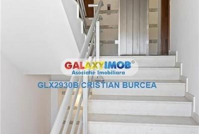 Apartament disponibil pentru inchiriere in zona Primaverii Apartament disponibil pentru inchiriere in zona Primaverii - 14