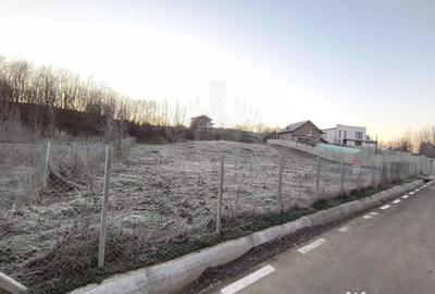 Teren în Plopu - 6