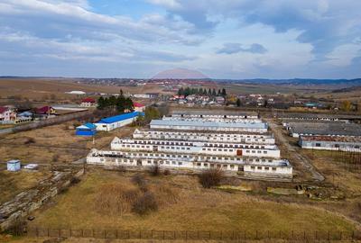 Teren  intravilan in sat Zapodia, com. Traian, jud. Bacau, 36.200mp, - 5