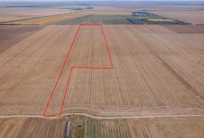 FRUMUSANI - PASAREA, TEREN 14420 MP, FRONT 40 M! - 12