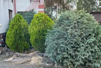 Casa / Vila cu 6 camere de vanzare - 15