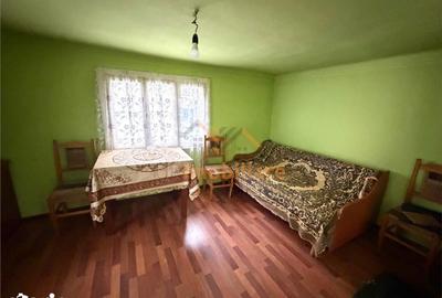 Casă cu 4 camere cu Teren 2846 Mp în Aștileu - 8