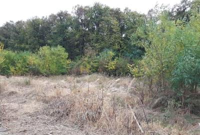 Teren agricol intravilan de 400 mp, în Gruiu - 4