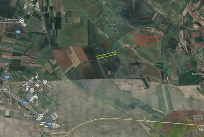 Teren de 36200 mp, în Șura Mică - 1