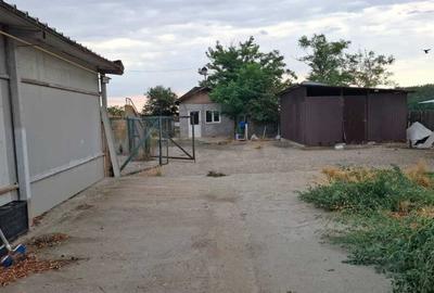 REC3001535 Inchiriere spatiu comercial I camere frigorifice I 40 min Bucuresti - 13