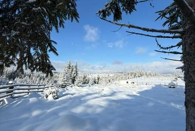 Spațiu comercial, în Măguri - 7