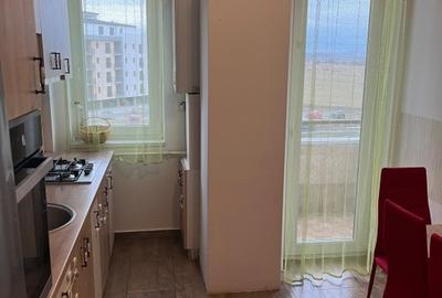 Apartament cu 2 camere decomandat, mobilat în Turnișor - 8