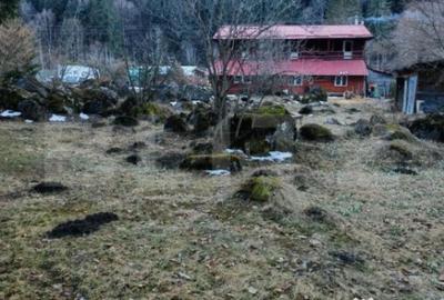 Casă cu 7 camere cu Teren 3800 Mp în Glăjărie - 11