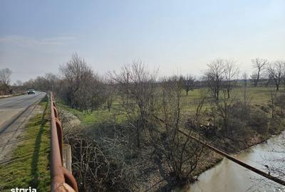 Teren de 30600 mp, în Sacoșu Turcesc - 3