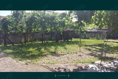 Casă cu Teren 12500 Mp în Valea - 1