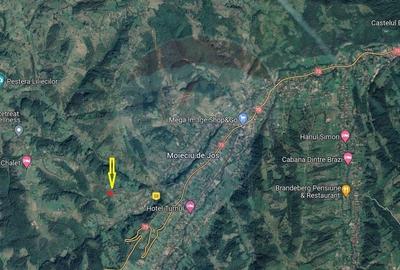 Teren extravilan, 2000 mp, Sat Pestera (com Moieciu) - 9