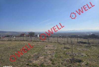 Teren de 750 mp, în Valea Crișului - 5