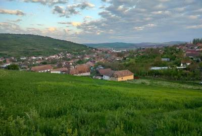 Teren de 2983 mp, în Târnăveni - 7