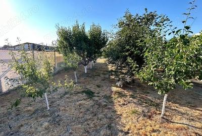 Casă cu 4 camere în Jebel - 6