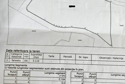 Teren Sirnea Intravilan - 4