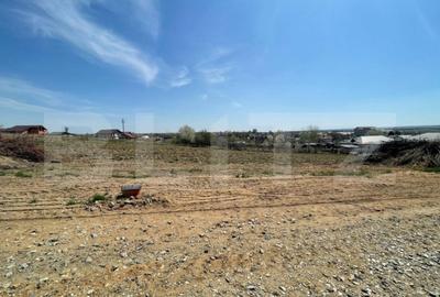 Teren de 555 mp, în Malu Mare - 5
