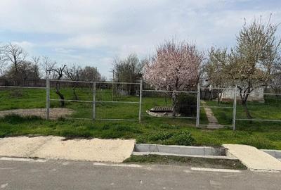 Teren de 5400 mp, în Păltinișu - 2