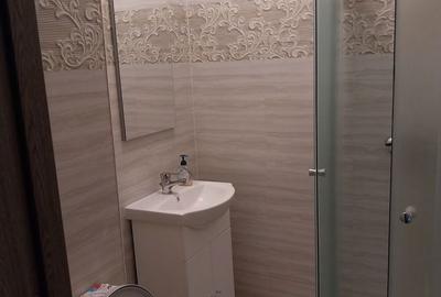 Apartament cu 2 camere semidecomandat în Vulcan - 4