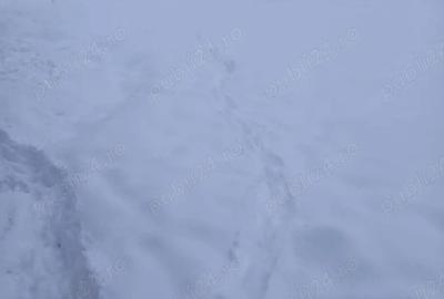 Casă cu 2 camere cu Teren 1700 Mp în Josani - 4