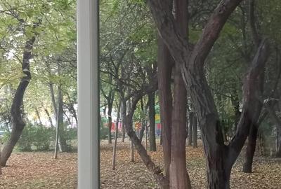 Aparatorii patriei etaj 4 turnu magurele Aparatorii patriei etaj 4 turnu magurele - 8