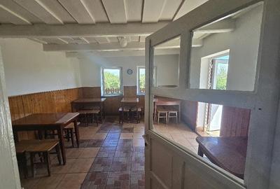 Casă cu 2 camere cu Teren 2271 Mp în Ulieș - 8