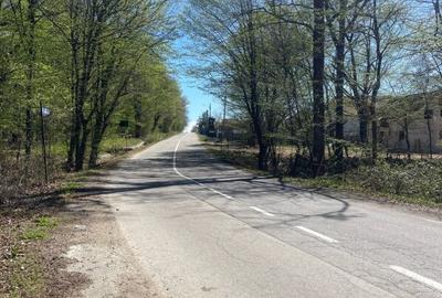 LICITATIE PUBLICA  IMOBIL CU POTENTIAL TURISTIC IN ZONA MONTANA NOVACI  TEREN - 4