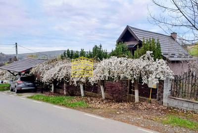 Casă singur în curte – Maiad - 2