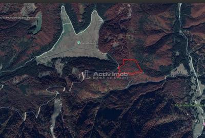 Teren 7 ha, Lac Vidraru, Podis Molivis - 6