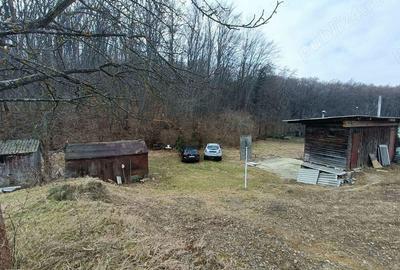 Teren de 1195 mp, în Făget - 2