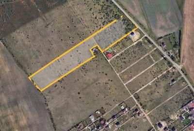 Teren intravilan de 29000 mp, în Perieni - 1
