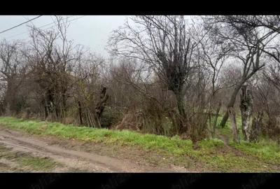 Teren de 2499 mp, în Sârbeni - 2