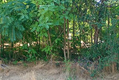 Casă cu 3 camere în Plevna - 5